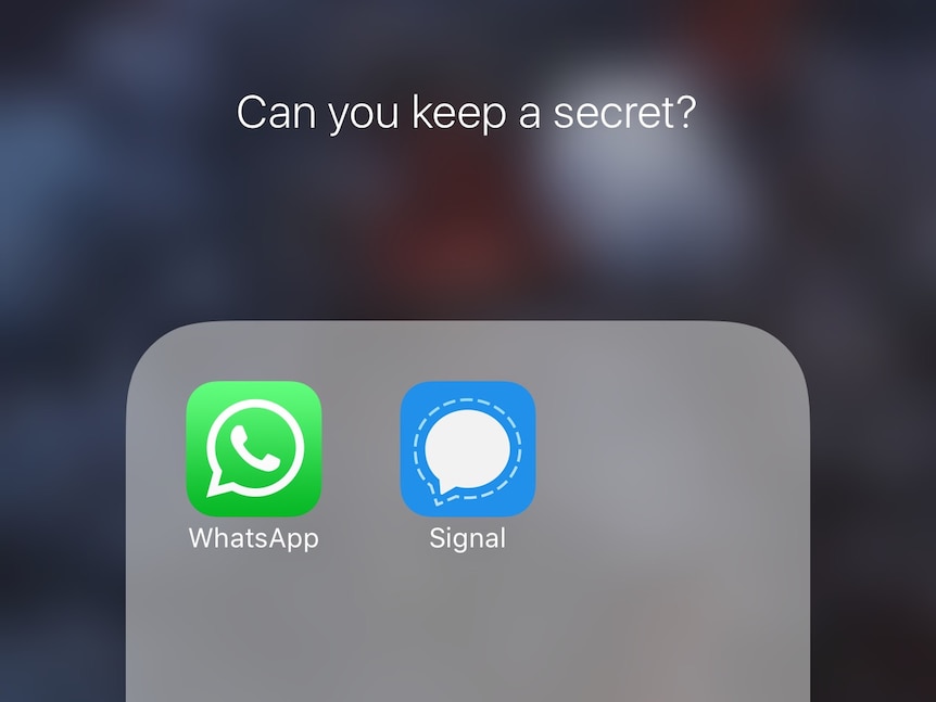 The app icons for WhatsApp and Signal on an iPhone.