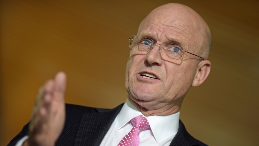 David Leyonhjelm gestures with his hand while talking.