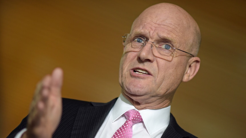 Crossbench Liberal Democrat Senator David Leyonhjelm talking to media.