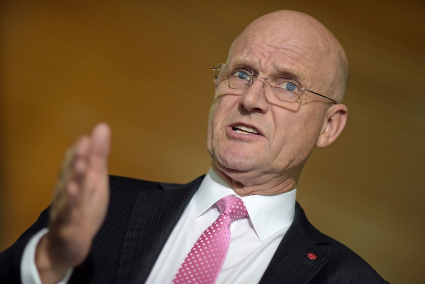 David Leyonhjelm gestures with his hand while talking.