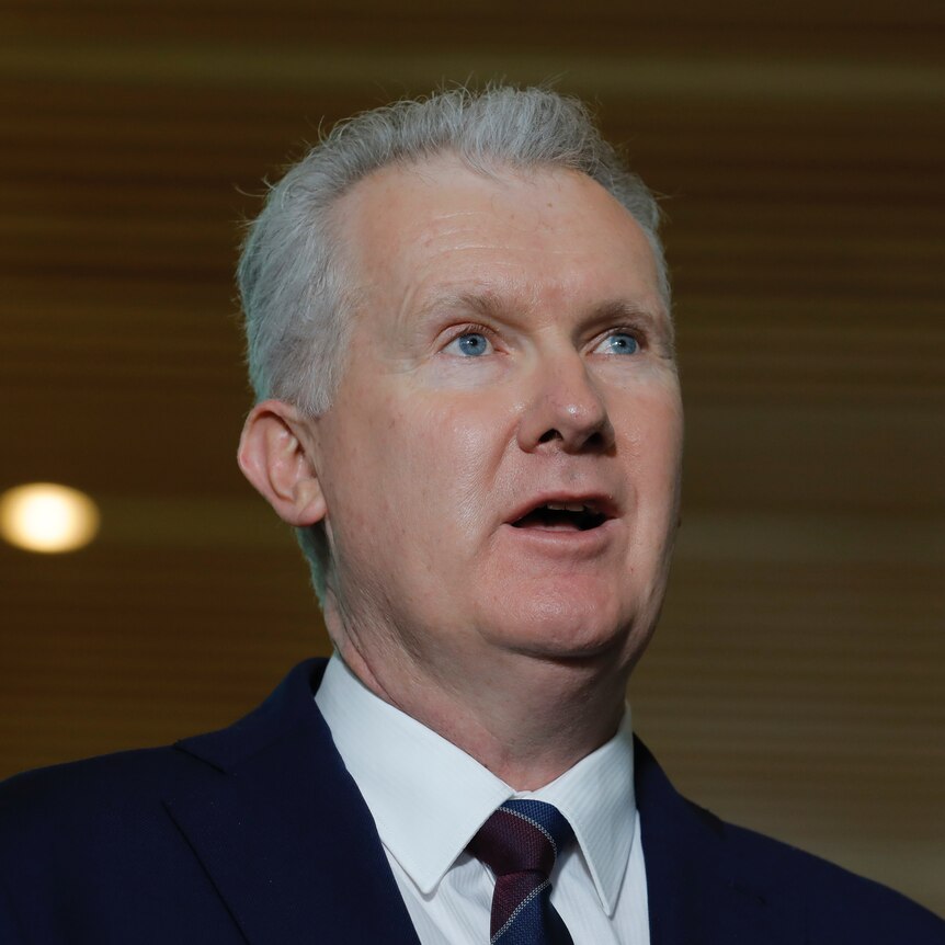 Tony Burke speaks at a press conference at Parliament House. 