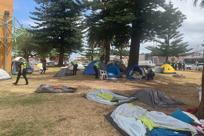 A number of tents lay flat on the grass at Pioneer Park.