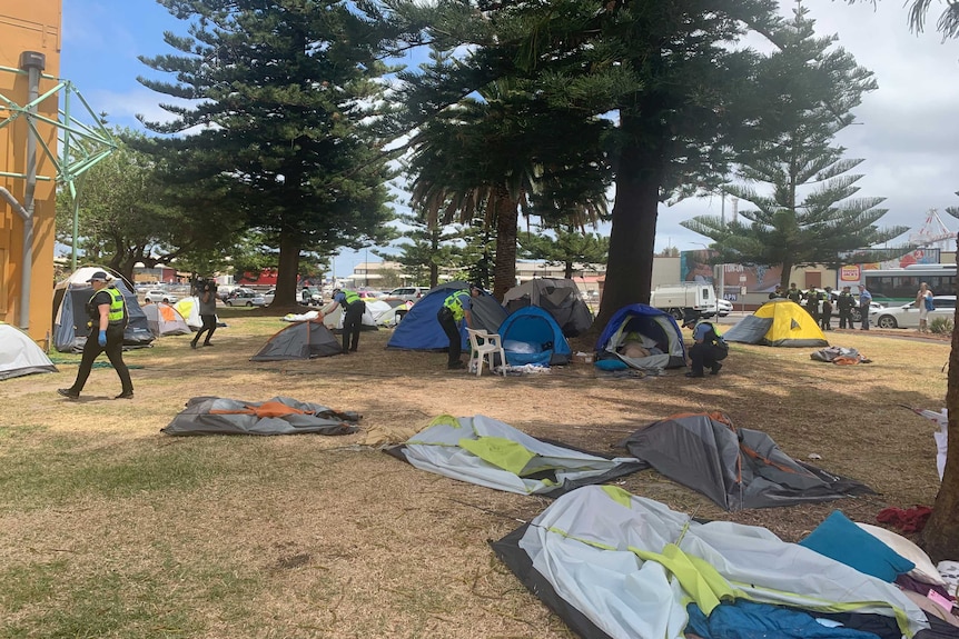 A number of tents lay flat on the grass at Pioneer Park.