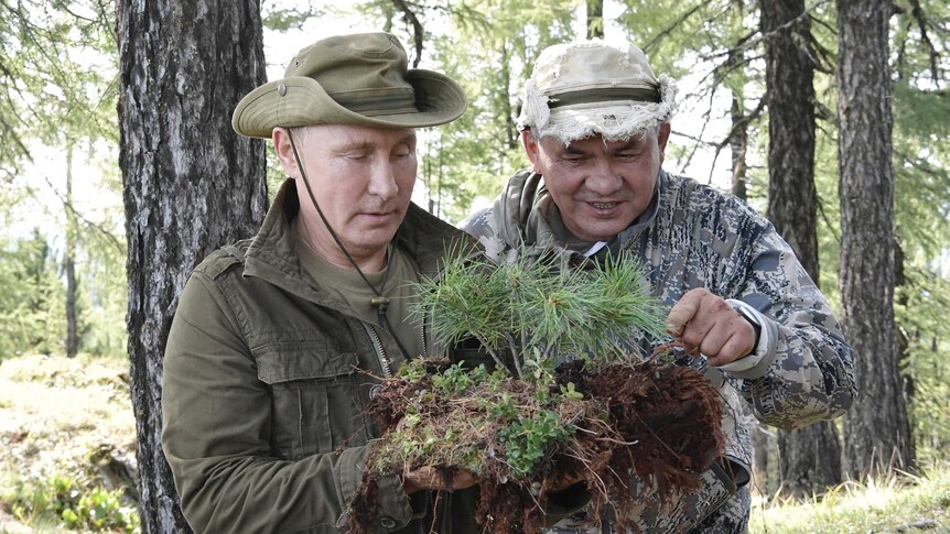 Vladimir Putin and his Defence Minister hold a coniferous sapling in a forest area.