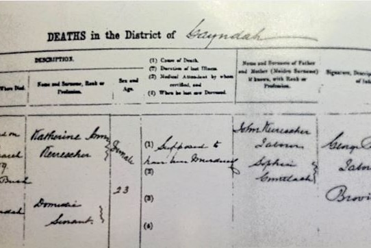 A copy of Anna Krieger's death certificate.