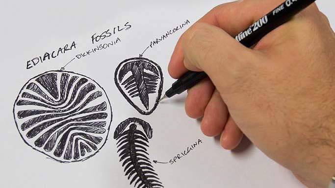Artists at work during fossils