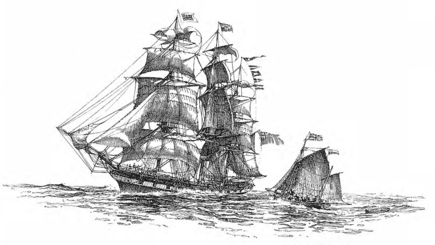 A black and white drawing of the tall ship.