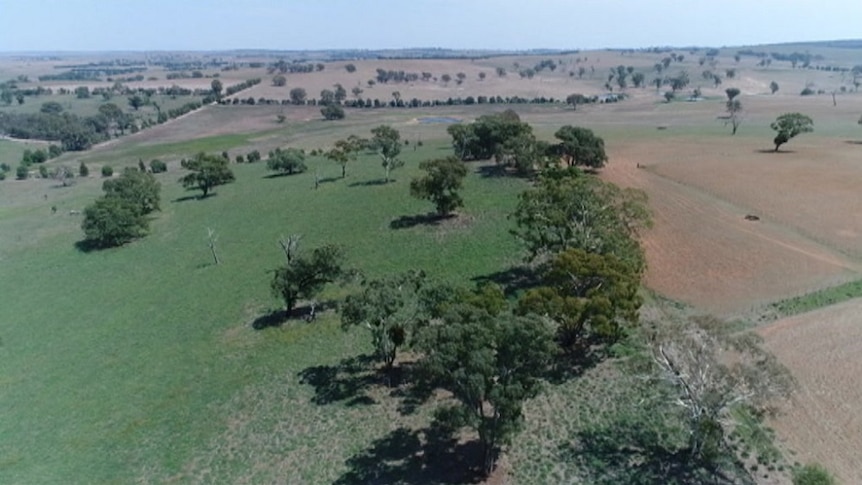 View of a regenerative farm from the air with conventional farms looking pretty brown in comparison.