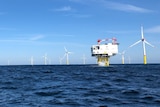 Turbines operating at sea