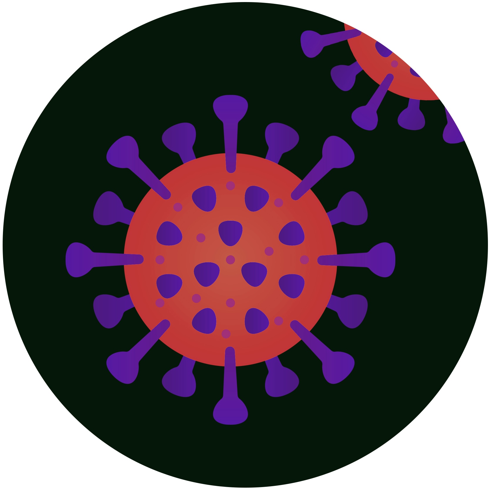 A graphic representation of the SARS-COV2 virus which causes COVID-19