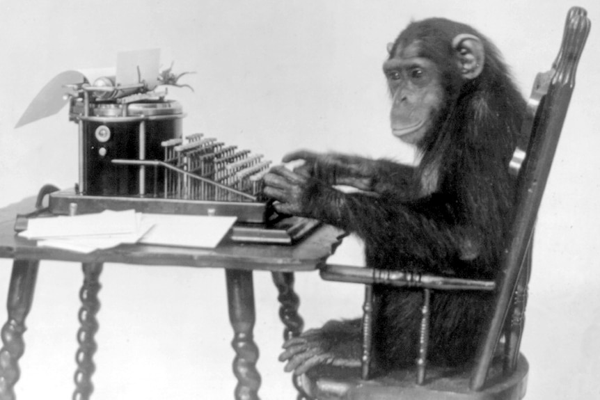 A black and white photo of a chimpanzee seated at a typewriter.