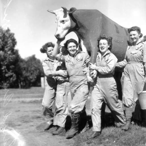 Black and white photo of women in overalls having fun with a cow model