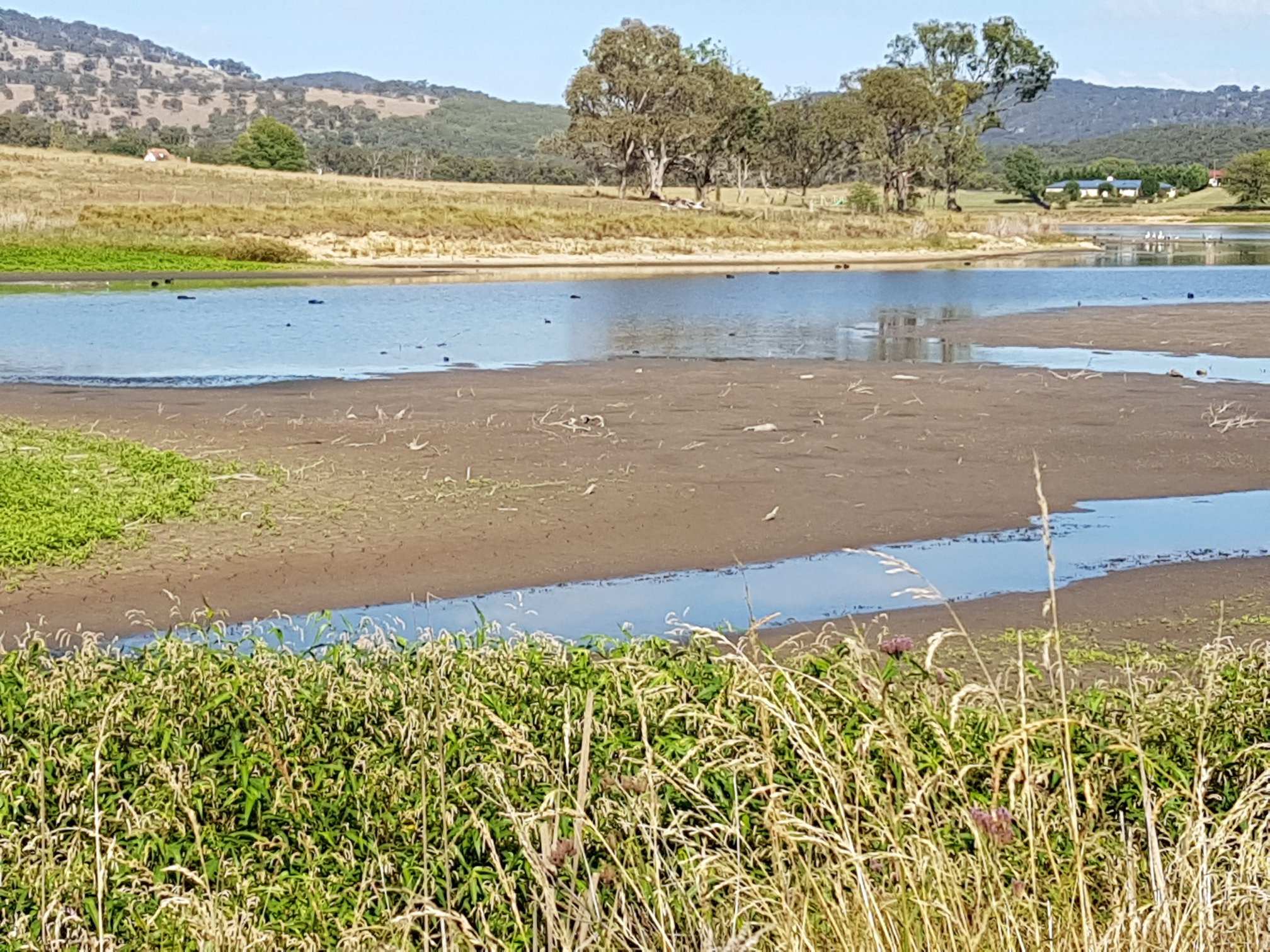 Northern Rivers gauges the longlasting effects from its unusually bonedry summer ABC News