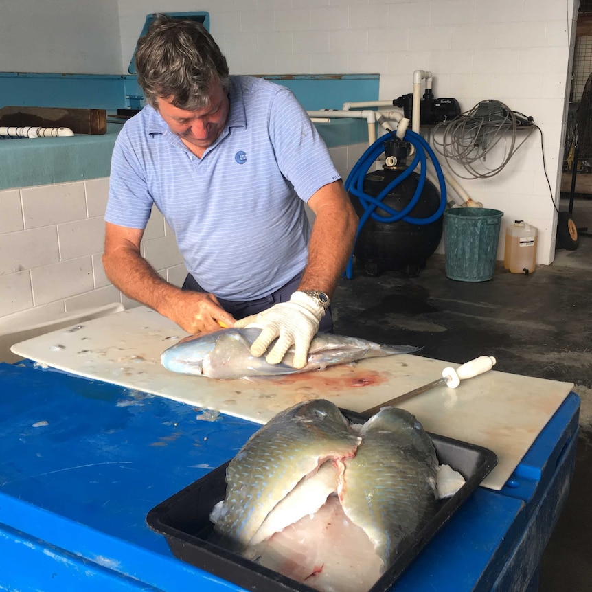 A man fillets fish in a fishmonger's shop