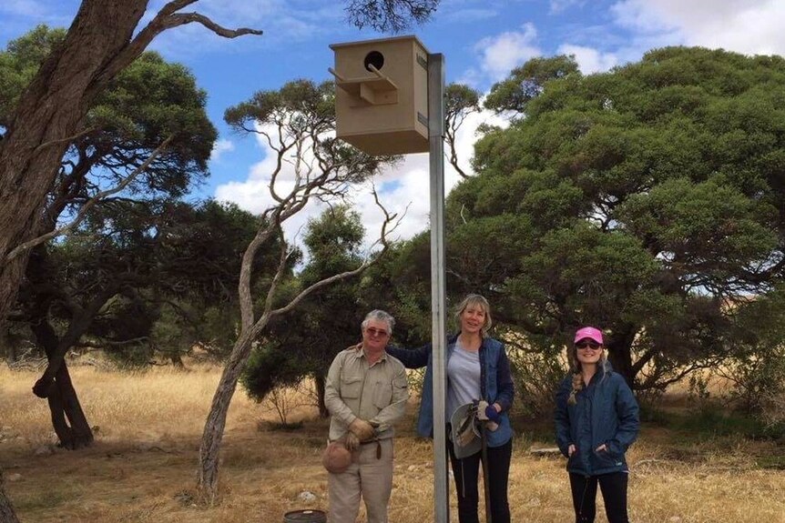 Two women and a man stand next to a metal pole which has a light brown wooden nest box at the top of it.