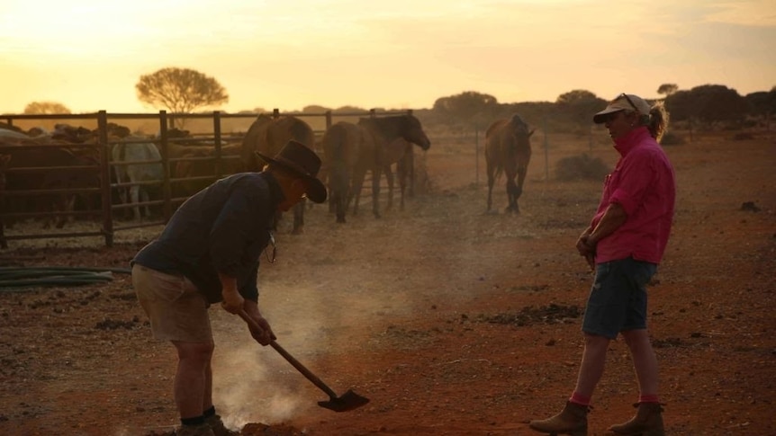 Sunset on remote pastoral station