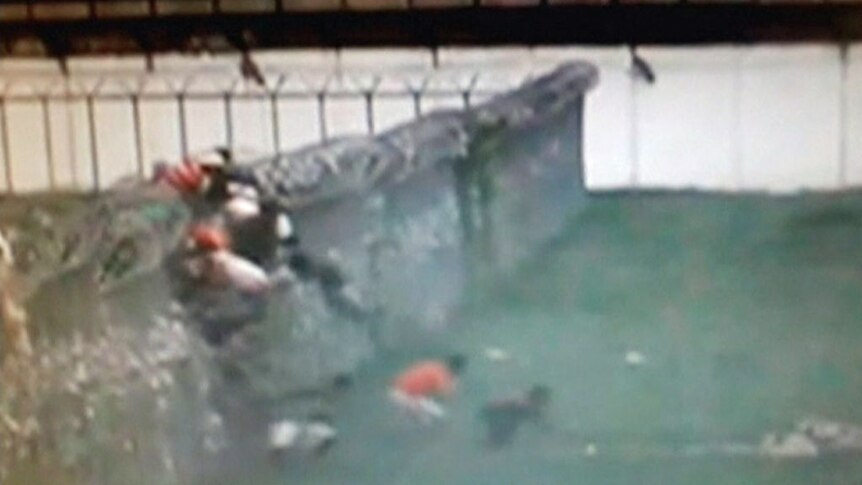 Brazilian prisoners stage dramatic escape