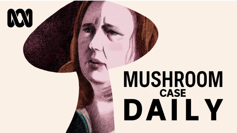 ABC Mushroom Case Daily continues to grow in June - About the ABC