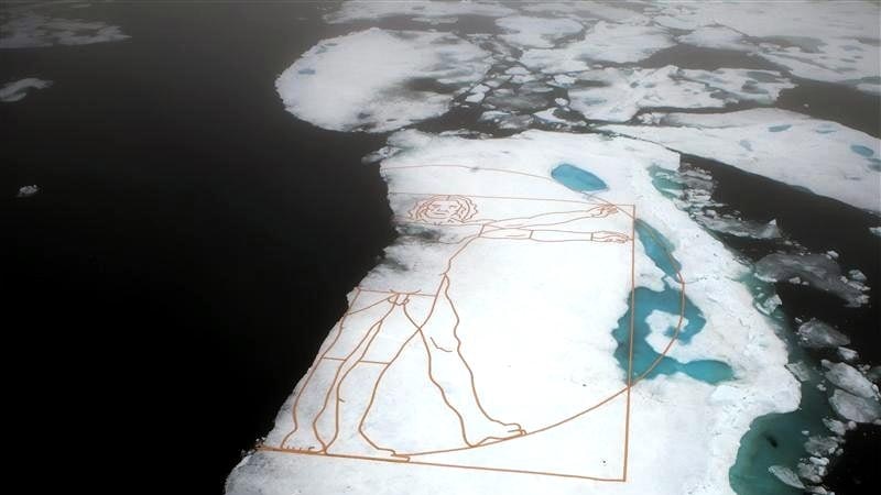 Vitruvian Man's two arms and one leg have been cut off, symbolically melting into the sea to illustrate the disappearing ice.