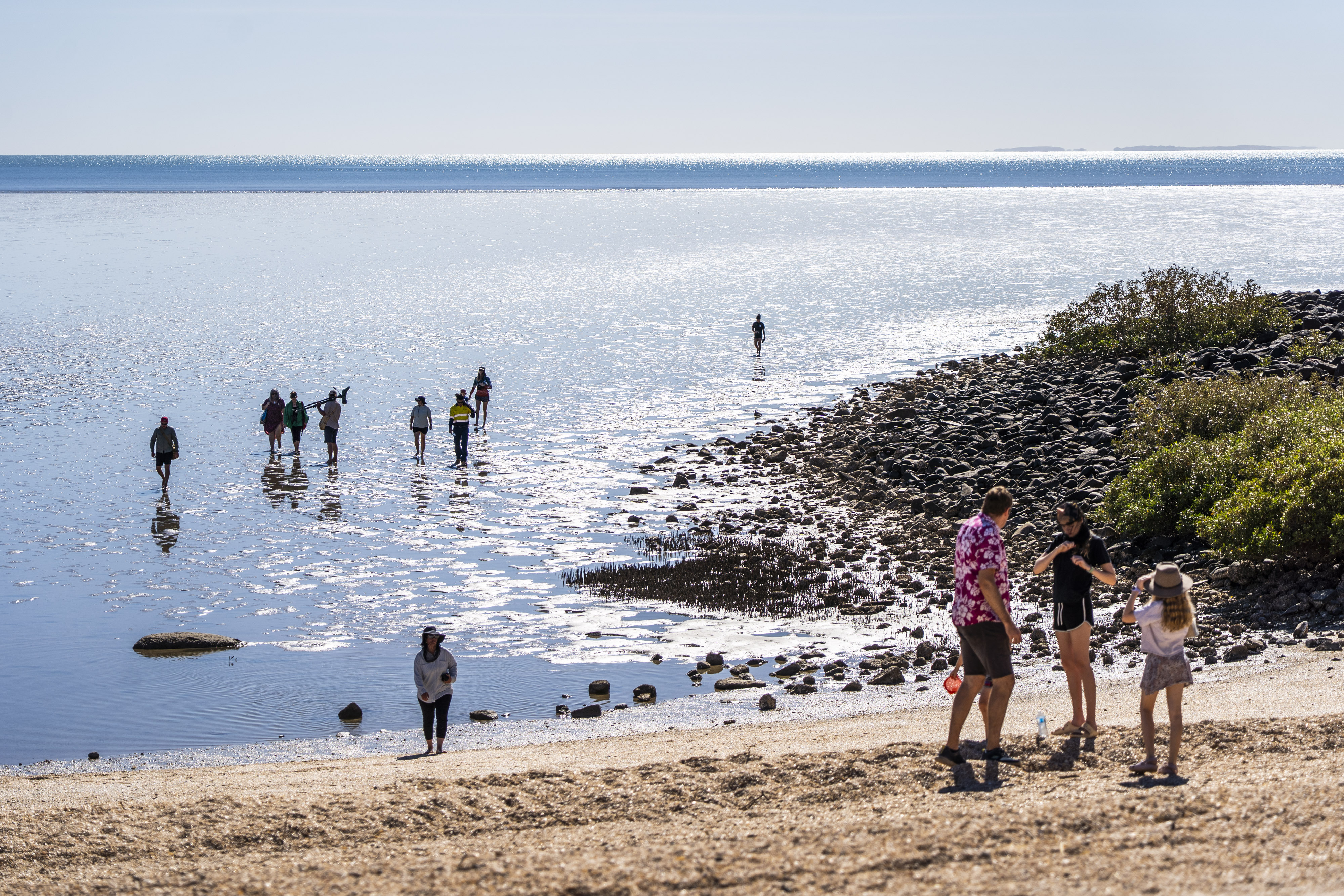 261025observação de pássaros011