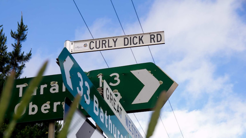 A collection of road signs with one saying Curly Dick Rd on top
