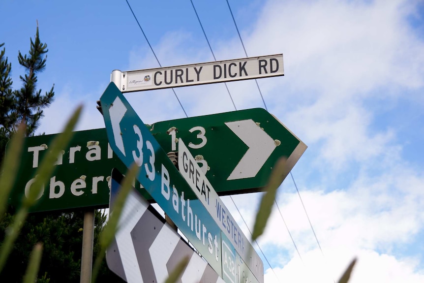 A collection of road signs with one saying Curly Dick Rd on top