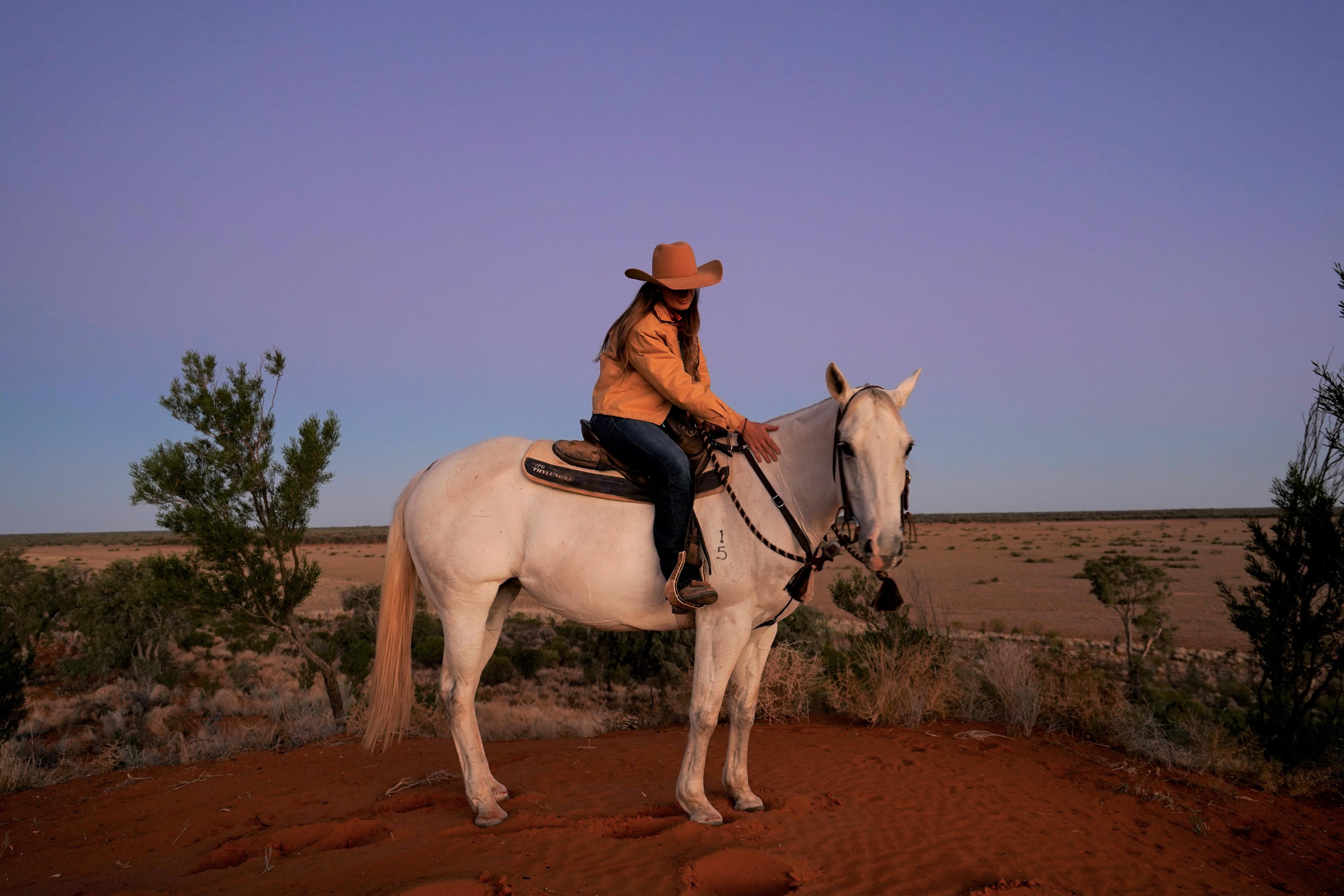 ABC News (Australian Broadcasting Corporation)