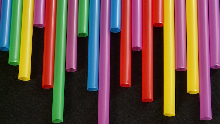 A row of plastic straws