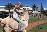 A man gestures as he rides a white horse through a seaside town.