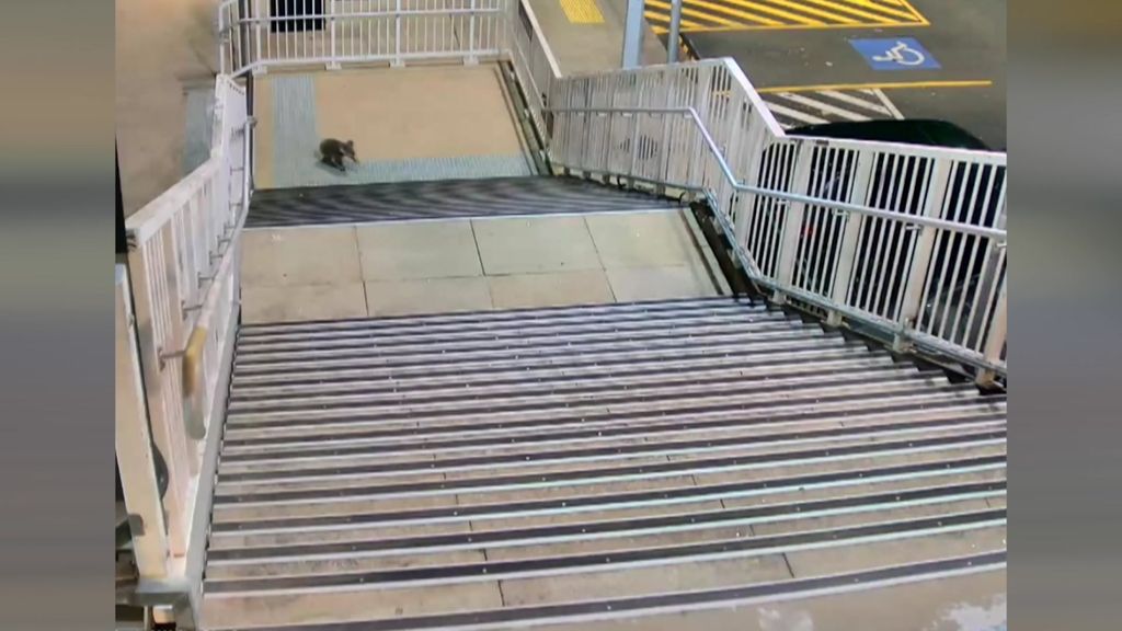 Train passing over tracks