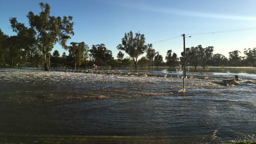 The flooded Lachlan River in Forbes.