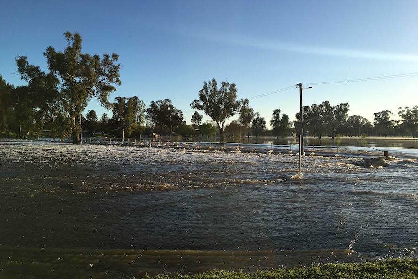 The flooded Lachlan River in Forbes.