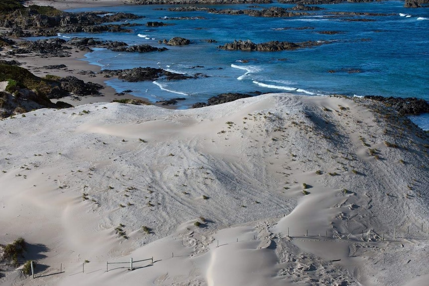 Protective fences apparently breached at a midden at Ordinance Bay