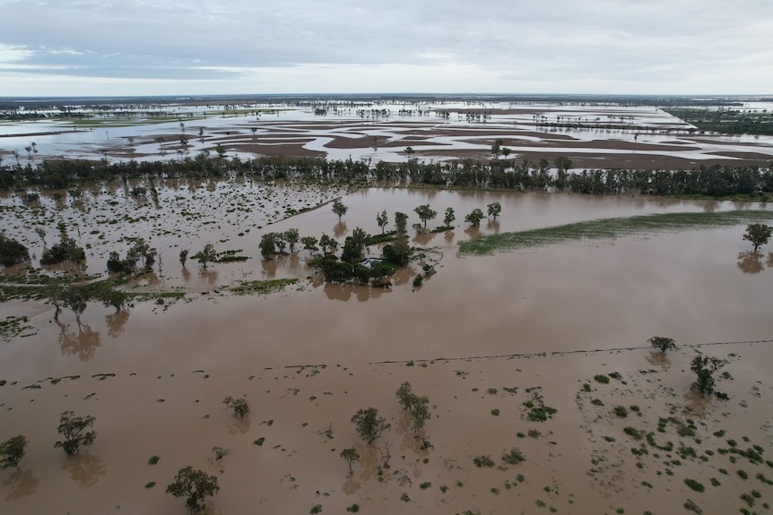 A drone shot over flooded paddocks 