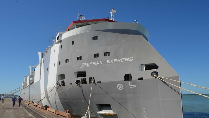 New live cattle export ship Greyman Express features 'greatest animal  welfare standards' available - ABC News