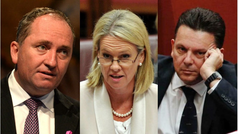 A composite image of Barnaby Joyce, Fiona Nash and Nick Xenophon in Parliament.