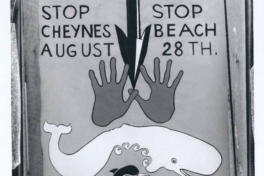 Anti Whaling Poster [Jonny Lewis]