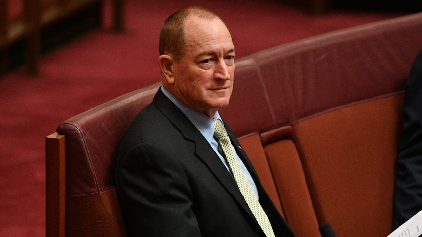 Fraser Anning sitting in the Senate, June 25 2018