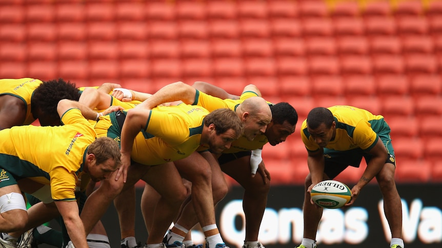 Wallabies pack down at training