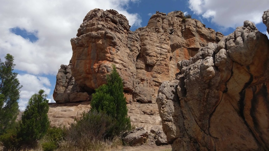 Taylors Rock is a popular climbing spot at Mount Arapiles in western Victoria.