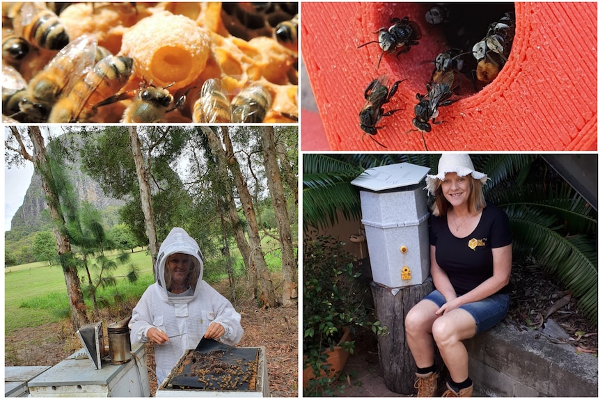 Cuatro fotos en un cuadro.  Una de una mujer con equipo completo de apicultura, la otra sentada junto a una colmena nativa sin aguijón.