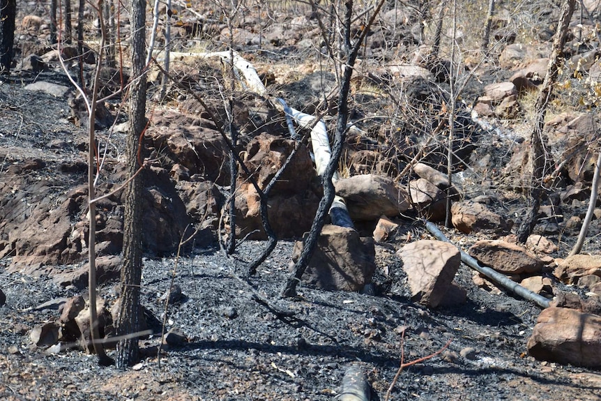 Image of a burned landscape stretching up to the side of a building in a remote part of the Kimberley.