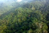 Crash scene where a plane carrying, among others, Sundance mining executives crashed