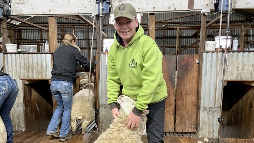 A teenage boy in a yellow/green jacket holding a sheep in a sheairng shed, Crookwell NSW, June 2023