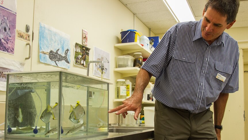 Queensland Museum's Jeff Johnson showed students how to identify Queensland fish.