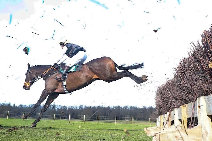 Horse jumping over barrier with jockey sitting on saddle