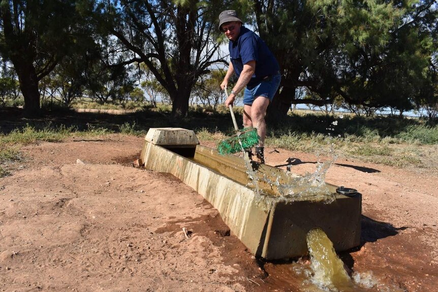 Philip Johns cleans out a trough on his property.