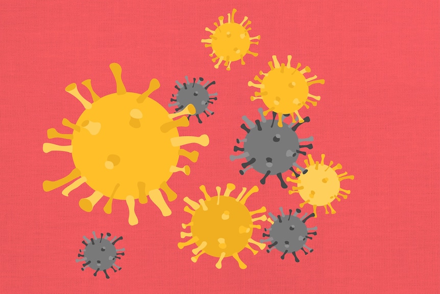 Illustration of a cluster of coronaviruses floating around
