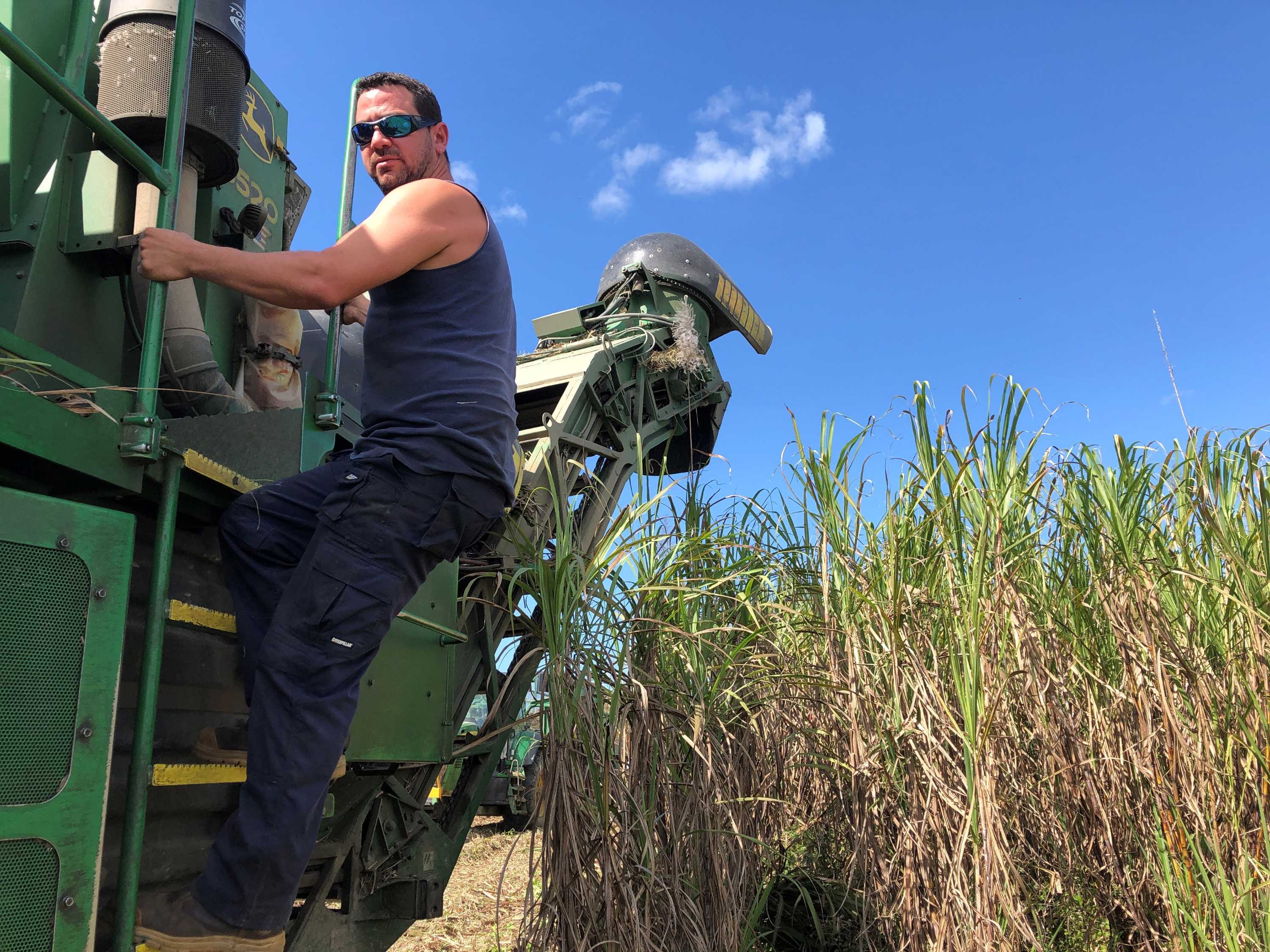 Contract cane harvester drivers make sugar while the sun shines - ABC ...
