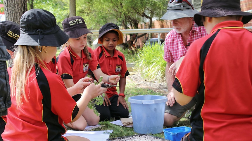 Several students in red uniforms sitting on the ground outside holding plant clippings.